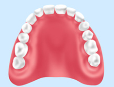 保険適用の入れ歯